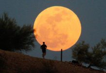 A Luna tízmilliószoros vonzásában